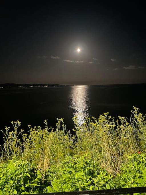 Specious Near The Sea