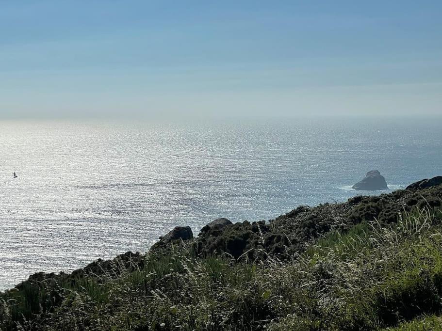 Specious Near The Sea